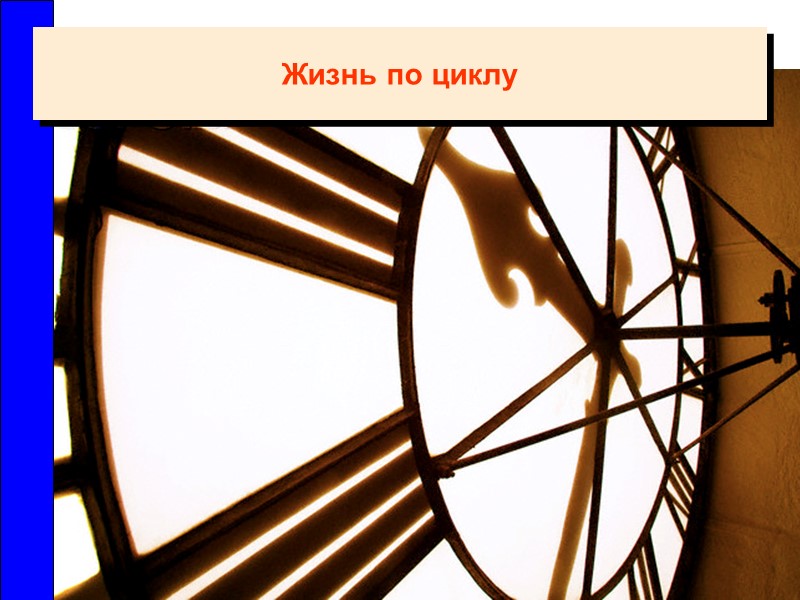 Жизнь по циклу